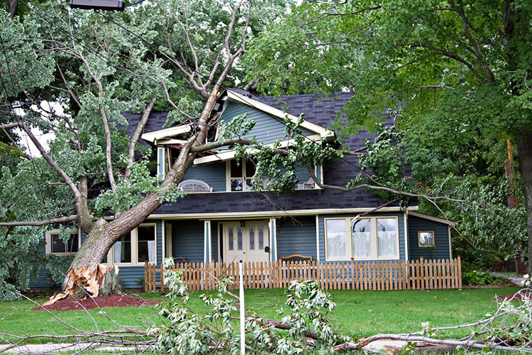 Windstorm Damage Insurance Claim